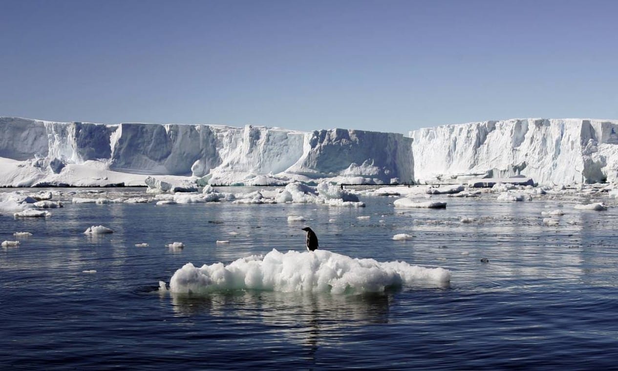 Como o Aquecimento Global Está Afetando os Oceanos e a Vida Marinha